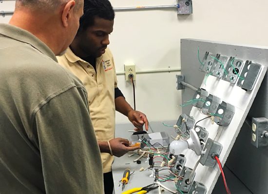 DC Electricity and Low Voltage Applications